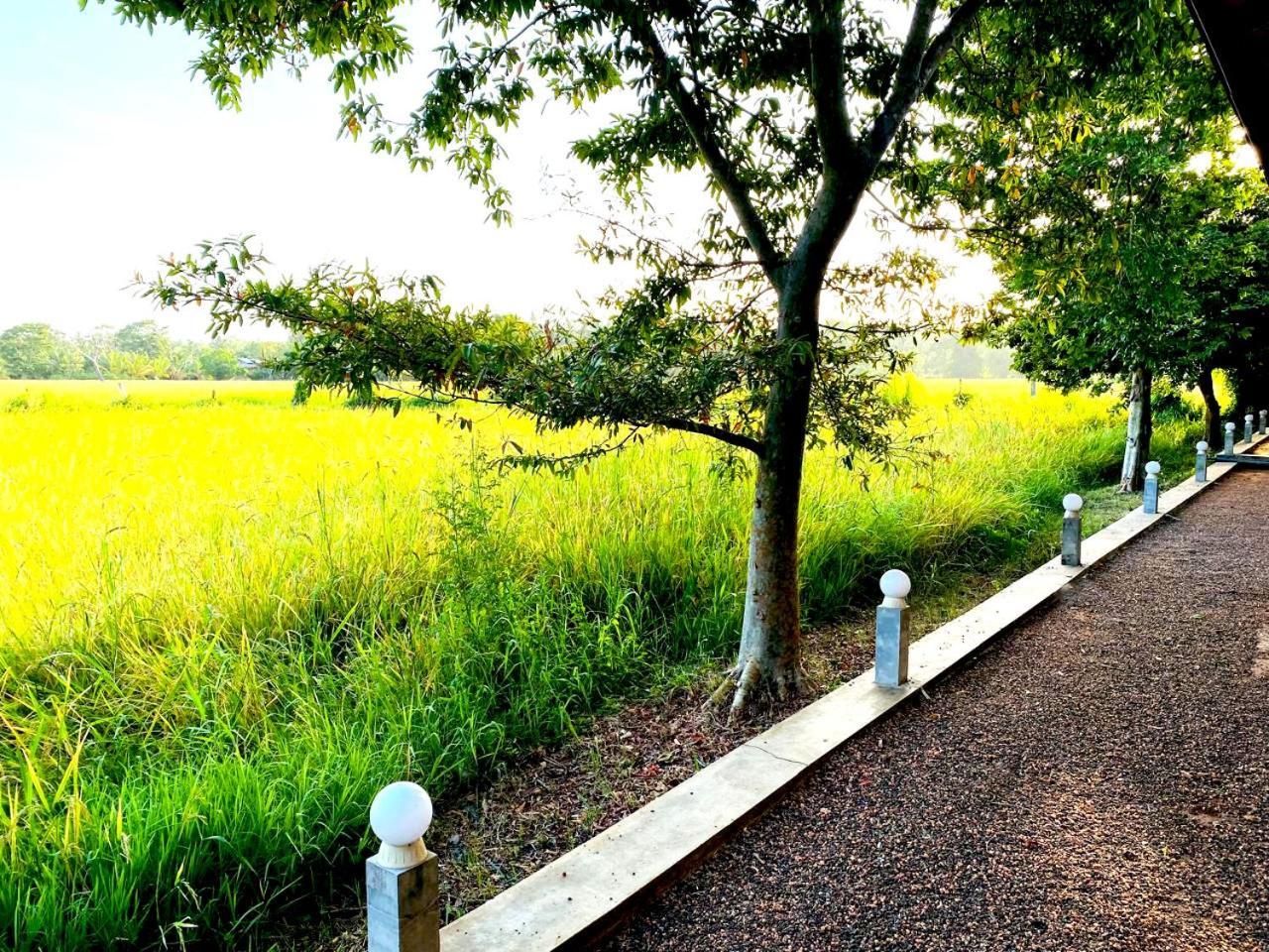 Athyantha Resort Anuradhapura Ngoại thất bức ảnh